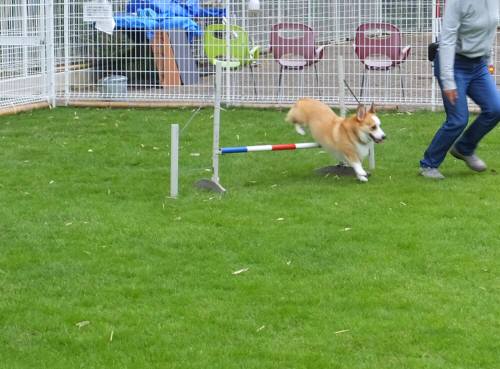 2014_08318-27けんしろう