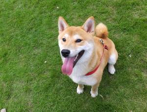 2014_08298-25太郎２