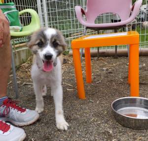 2014_08248-21さんた