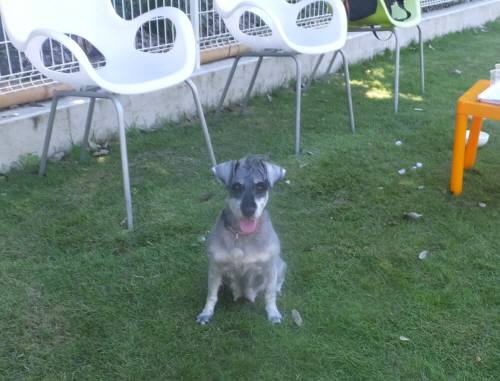 12014_08068-6ピリカ