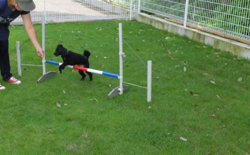 2014_08248-21うるーちゃん