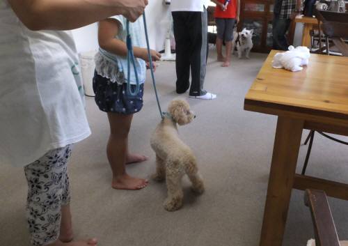 2014_08208-18ももフウ