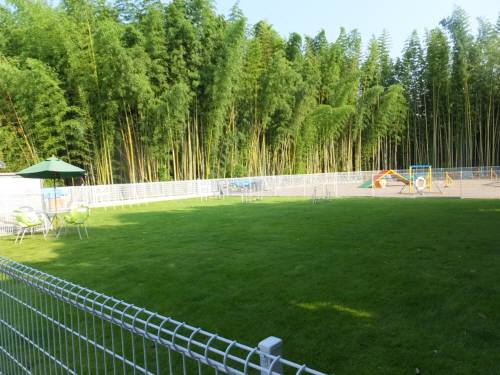 2014_08038-3朝風景