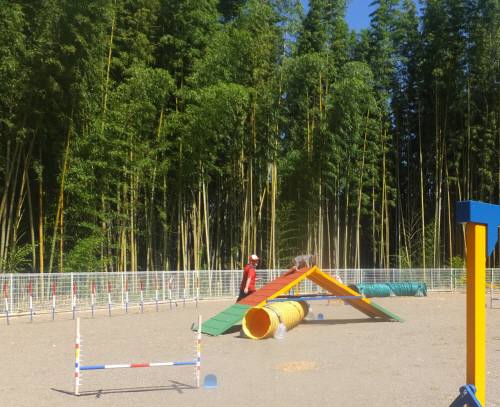 2014_08068-6Aフレーム