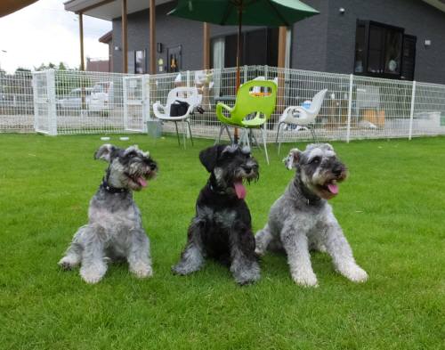 2014_08258-23三兄弟