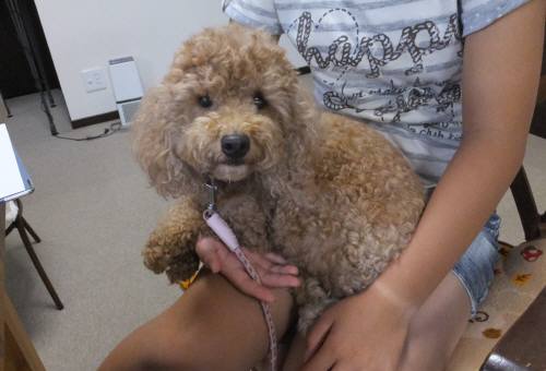 2014_08208-18モモちゃん