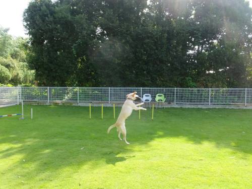 2014_08158-14なっちゃんD