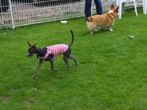 2014_08318-27メーテルちゃん