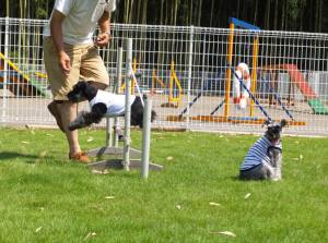 2014_08038-3ルネアジャンプ