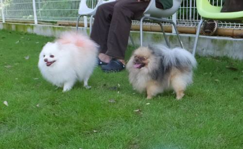 2014_08188-16メリーとミライ