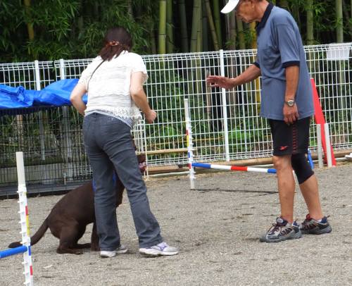 2014_08248-22しつけ