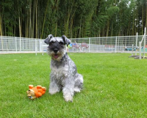 2014_08318-27クレちゃん