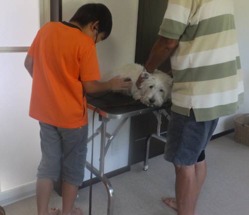 2014_08068-6ももちゃん3