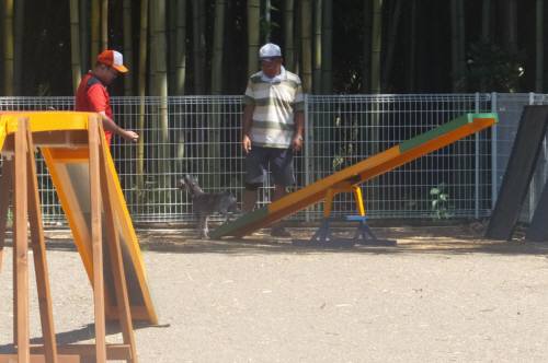 2014_08068-6タントシーソー