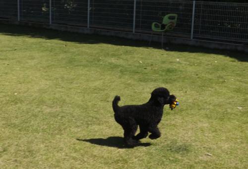 2014_09299-30もぐちゃん