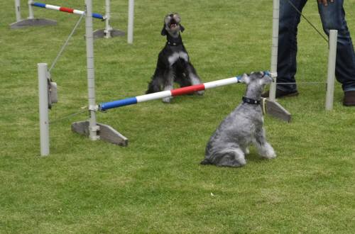 2014_09109-8クレアルネア