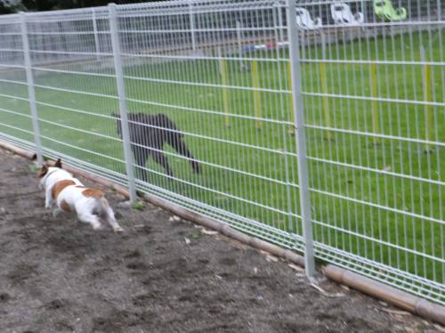 2014_09039-2チャッピールル