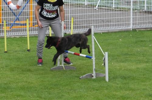 2014_09059-3桜ジャンプ