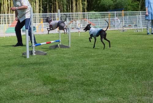 2014_09149-10モネマーブル