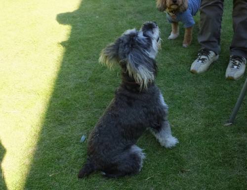 2014_09219-18チークちゃん