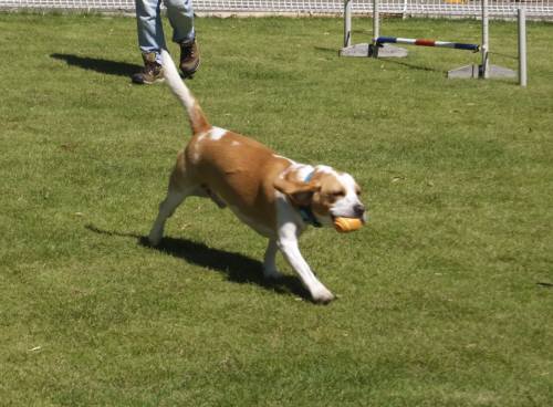 2014_09219-18ムサシ