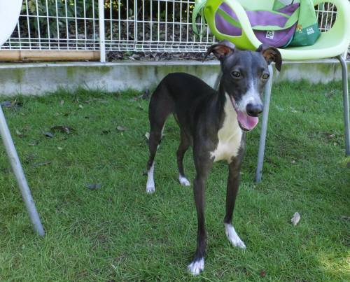 2014_09029-1バース１