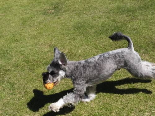 2014_09199-16まめちゃん