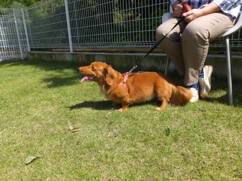 2014_09239-20みるく