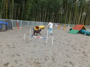 2014_09179-15ララちゃん