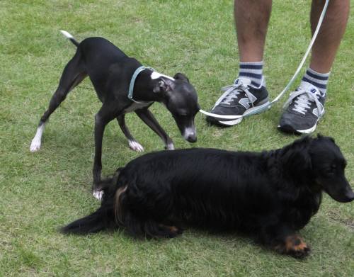 2014_09149-10バースラウル