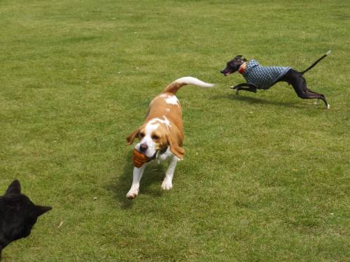 2014_09209-17ムサシバース