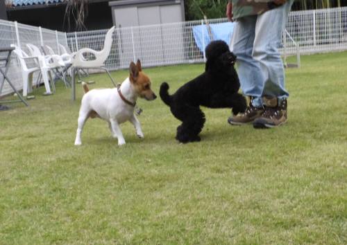 2014_09279-25もぐちゃっぴー