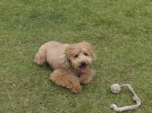 2014_09209-17マルクル