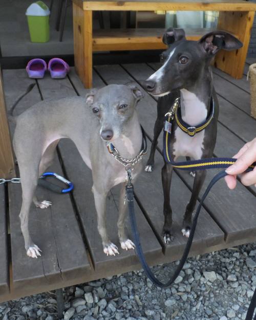 2014_09279-25もねマーブル