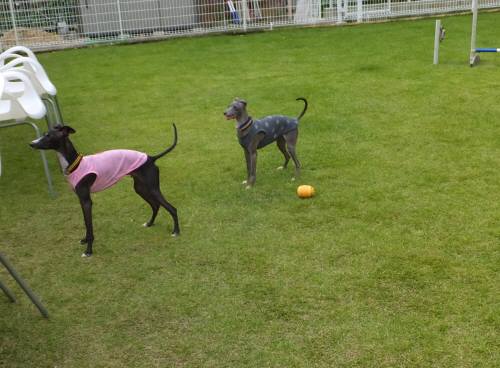 2014_09179-15monema-buru