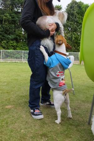 2014_09209-17tyappi-