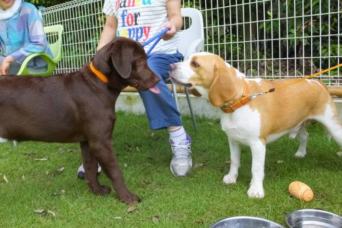 2014_09069-4ムサシララ