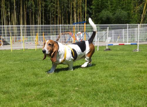 2014_09029-1マロン