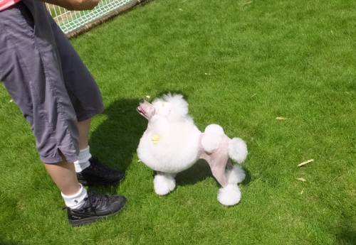 2014_09069-4アムちゃん？