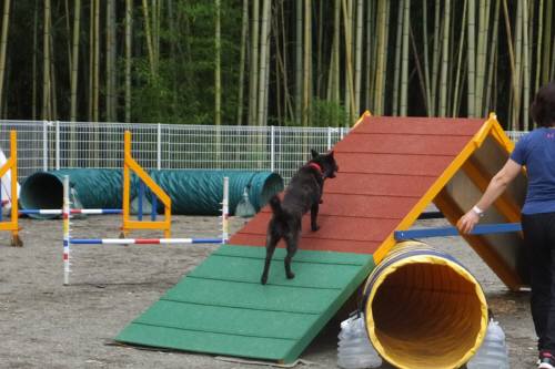 2014_09069-4さくらちゃん