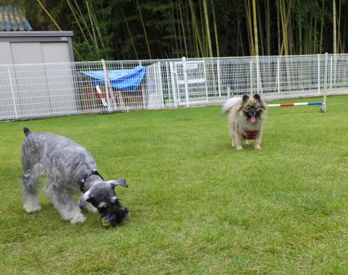 2014_09179-15クレアポン