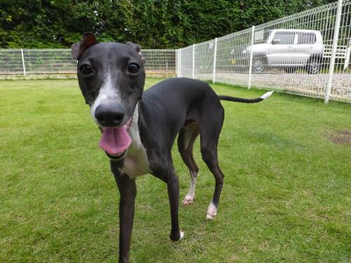 2014_09109-8バース