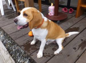 2014_09079-5むさし