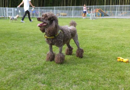 2014_09149-10スティッチ