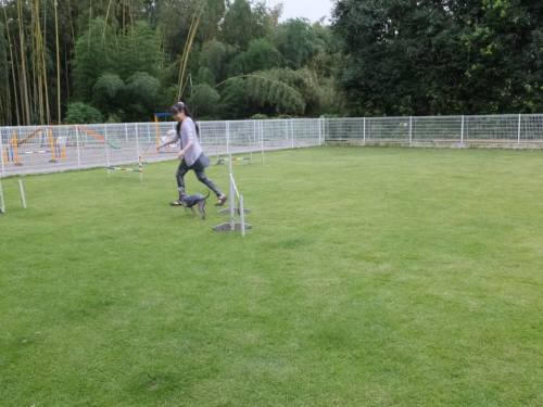 2014_09179-15マーブル１