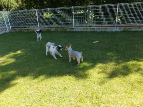 2014_09219-18ホイップしんちゃん