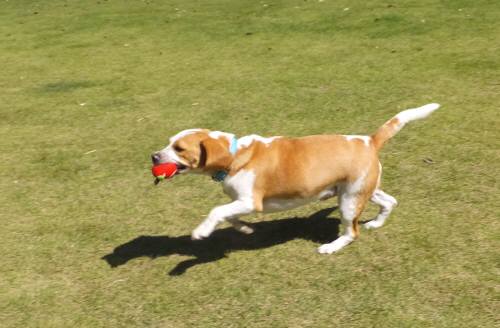 2014_09279-25むさし