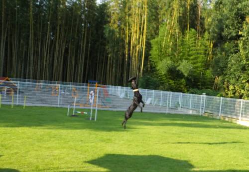 2014_09029-1ハル２