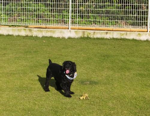 2014_09269-24イヴくん