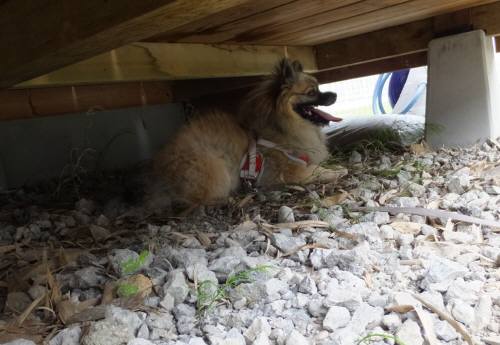 2014_09249-23ポン床下